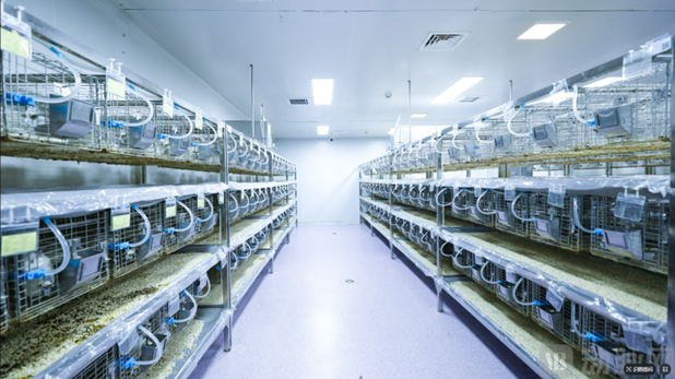 圖片關(guān)鍵詞 圖片關(guān)鍵詞