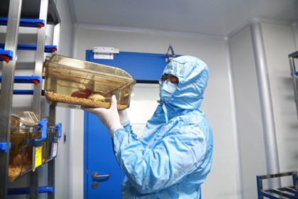 圖片關(guān)鍵詞 圖片關(guān)鍵詞