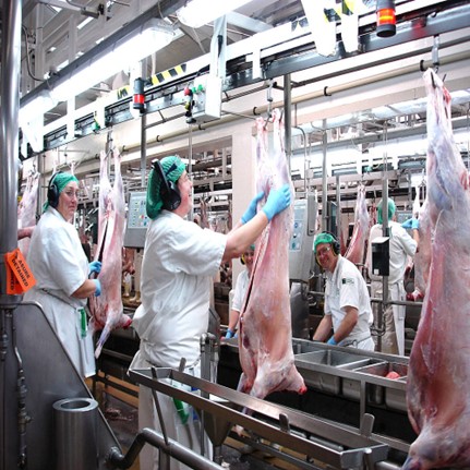 圖片關(guān)鍵詞 圖片關(guān)鍵詞